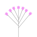Rhododendron `Anah Kruschke`
