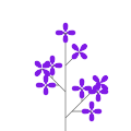 Common lilac `Cavour`