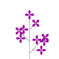 Common lilac `Johan Mensing`